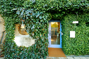 木を植えるレストラン オーロラ