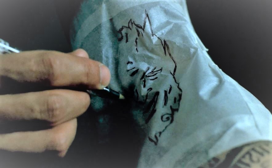 プリズンブレイク シーズン1 6 読む 海外ドラマ