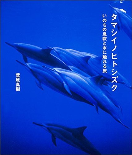 419ZR45oDfL__SX425_BO1,204,203,200_