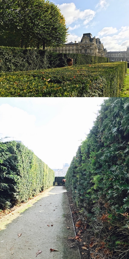 記事の0番目の画像