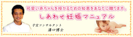 赤ちゃんが欲しい人の手助けとなる！しあわせ妊娠マニュアル
