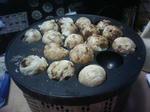 201201162210000.jpg