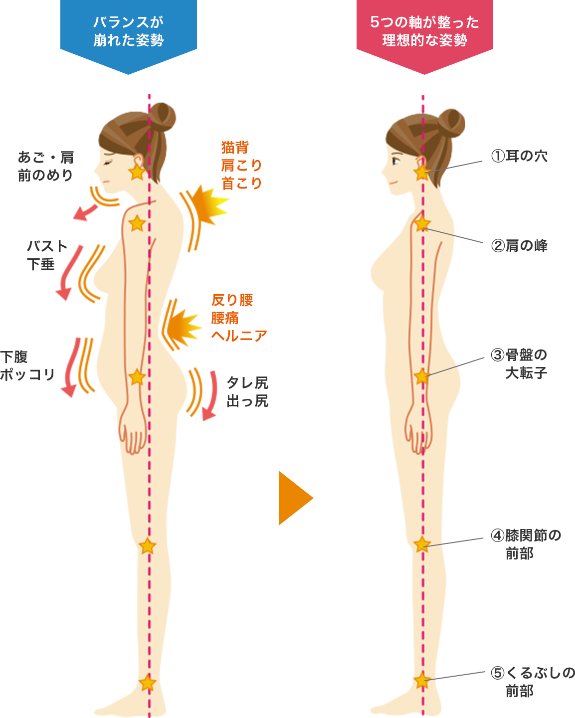 美しく 健康に の基本は 整った姿勢 美姿勢ラボ Bishisei Labo 姿勢 のための新しいブラ