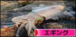 にほんブログ村 釣りブログ エギングへ