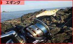 にほんブログ村 釣りブログ エギングへ