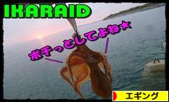 にほんブログ村 釣りブログ エギングへ