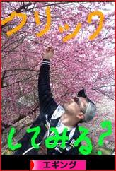 にほんブログ村 釣りブログ エギングへ