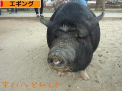 にほんブログ村 釣りブログ エギングへ