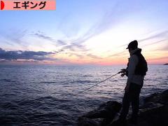 にほんブログ村 釣りブログ エギングへ