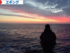 にほんブログ村 釣りブログ エギングへ