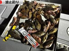 にほんブログ村 釣りブログ 波止釣りへ