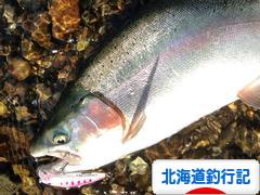 にほんブログ村 釣りブログ 北海道釣行記へ