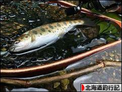 にほんブログ村 釣りブログ 北海道釣行記へ