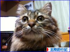 にほんブログ村 釣りブログ 北陸釣行記へ