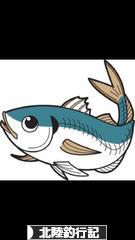 にほんブログ村 釣りブログ 北陸釣行記へ