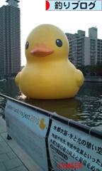 にほんブログ村 釣りブログへ