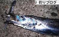 にほんブログ村 釣りブログへ
