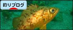 にほんブログ村 釣りブログへ