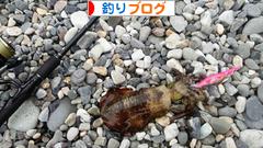 にほんブログ村 釣りブログへ