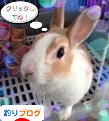 にほんブログ村 釣りブログへ