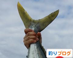 にほんブログ村 釣りブログへ