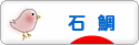 にほんブログ村 釣りブログ 石鯛釣りへ