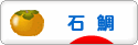 にほんブログ村 釣りブログ 石鯛釣りへ