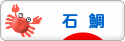 にほんブログ村 釣りブログ 石鯛釣りへ