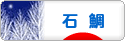 にほんブログ村 釣りブログ 石鯛釣りへ