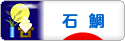 にほんブログ村 釣りブログ 石鯛釣りへ