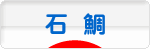 にほんブログ村 釣りブログ 石鯛釣りへ