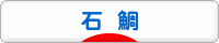 にほんブログ村 釣りブログ 石鯛釣りへ