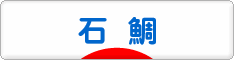 にほんブログ村 釣りブログ 石鯛釣りへ