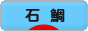 にほんブログ村 釣りブログ 石鯛釣りへ