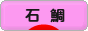 にほんブログ村 釣りブログ 石鯛釣りへ