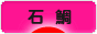 にほんブログ村 釣りブログ 石鯛釣りへ