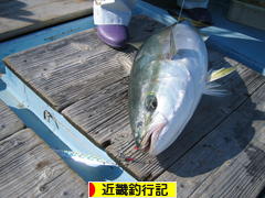 にほんブログ村 釣りブログ 近畿釣行記へ