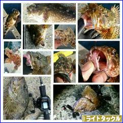 にほんブログ村 釣りブログ ライトタックルへ