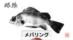 にほんブログ村 釣りブログ メバリングへ