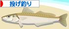 にほんブログ村 釣りブログ 投げ釣りへ