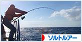 にほんブログ村 釣りブログ ソルトルアーフィッシングへ