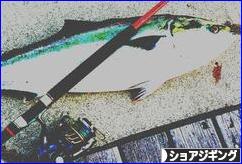 にほんブログ村 釣りブログ ショアジギン グ・オフショアジギングへ