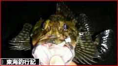 にほんブログ村 釣りブログ 東海釣行記へ