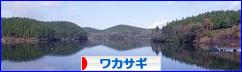 にほんブログ村 釣りブログ ワカサギ釣りへ