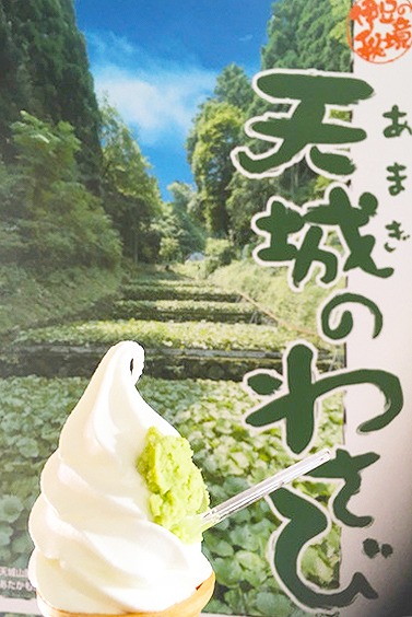 「天城わさびの里」で販売している「わさびソフトクリーム」 食べログから引用