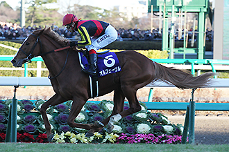 20131222_Orfevre