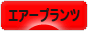 にほんブログ村 花ブログ エアープランツへ