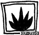 にほんブログ村 花ブログ エアープランツへ