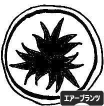 にほんブログ村 花ブログ エアープランツへ