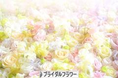 にほんブログ村 花・園芸ブログ ブライダルフラワーへ